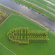 Image for article titled Behold These Incredible Works Of Architecture Made Out Of Living Trees